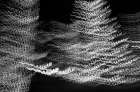 USA-Arizona-Buckeye-Black and white abstract motion of Christmas tree at night Art Print